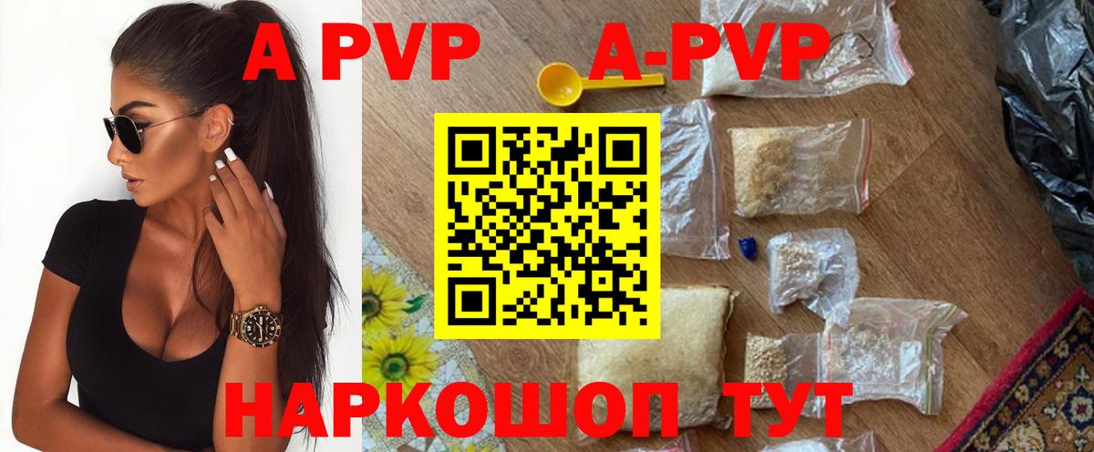 Альфа ПВП СК Новозыбков