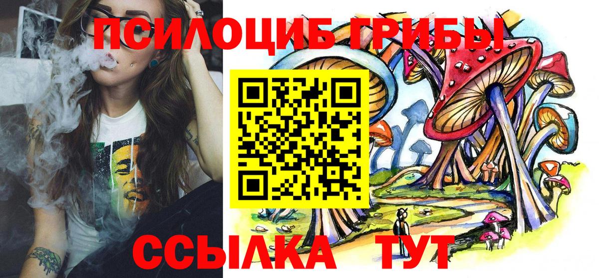 Новозыбков  Псилоцибиновые грибы Psilocybe  Вход с VPN 