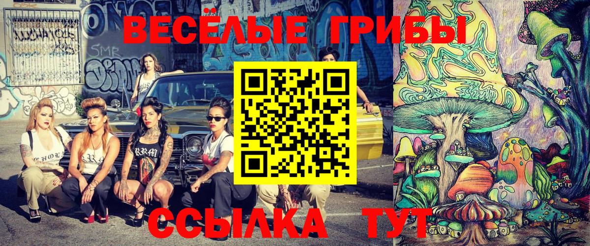 Галлюциногенные грибы GOLDEN TEACHER Новозыбков